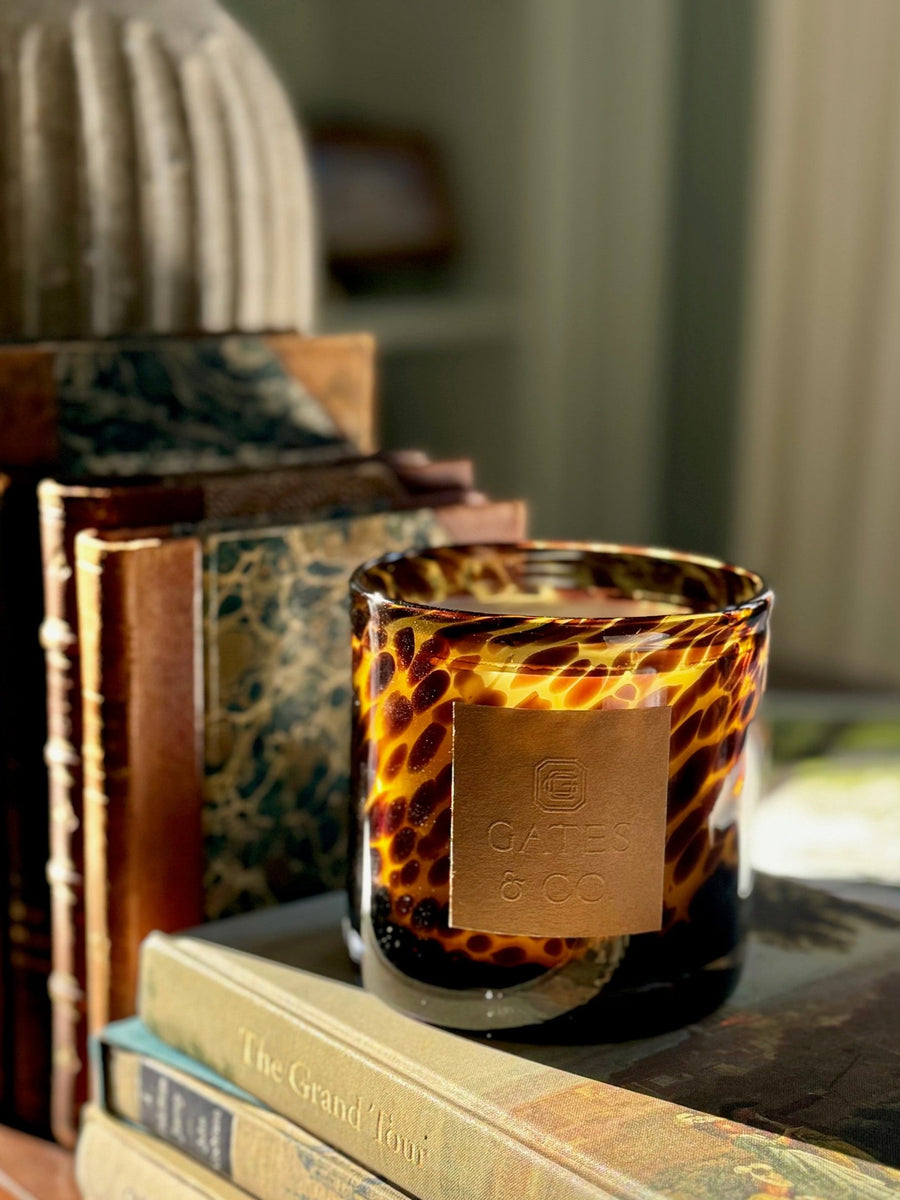 Balsam Forest Candle